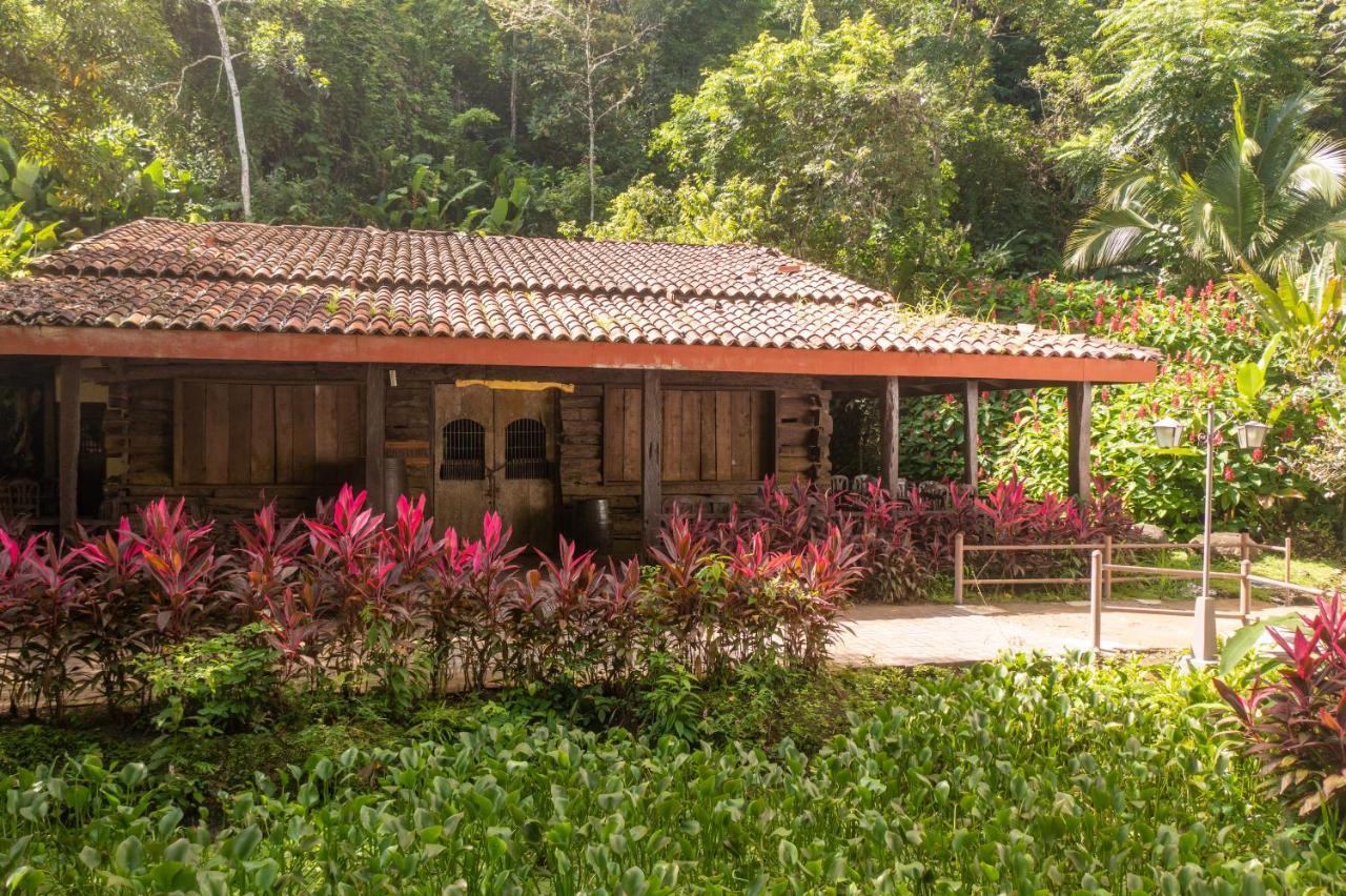 Villa Lapas Jungle Village Tárcoles 外观 照片