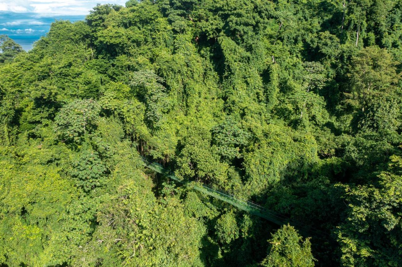 Villa Lapas Jungle Village Tárcoles 外观 照片