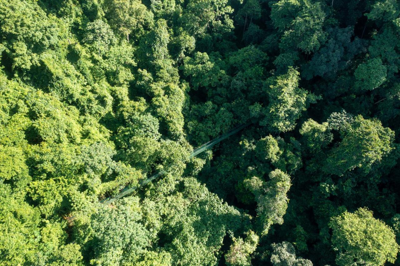 Villa Lapas Jungle Village Tárcoles 外观 照片