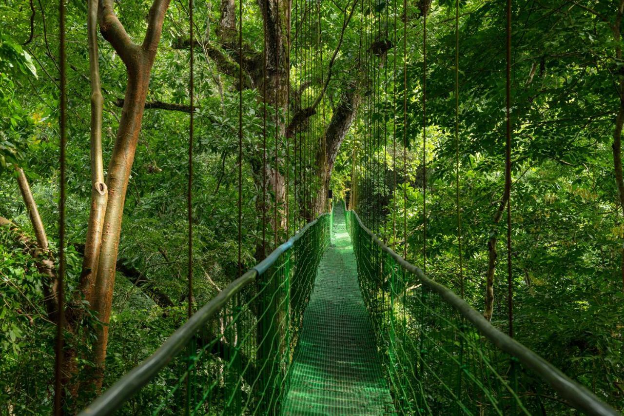 Villa Lapas Jungle Village Tárcoles 外观 照片