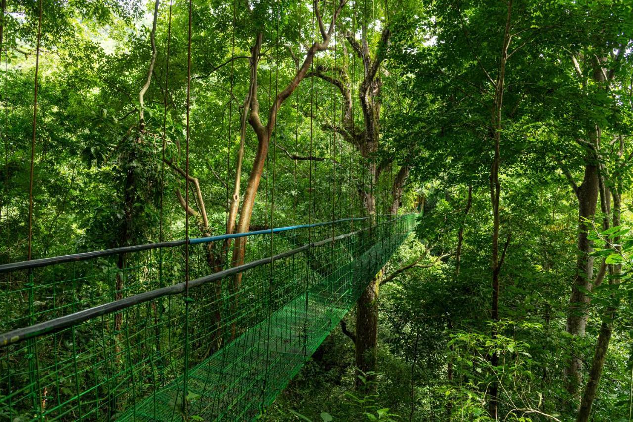 Villa Lapas Jungle Village Tárcoles 外观 照片